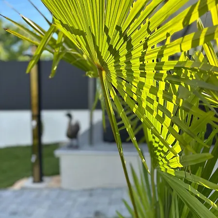 Rsd Riverside Lägenhet Aporka